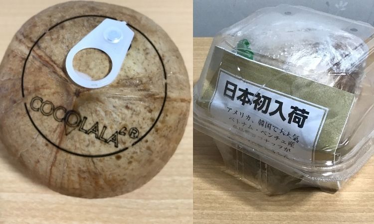 左がココナッツにプルタブがついている画像。右が包装されたココナッツ。日本初入荷と冊子が入っている